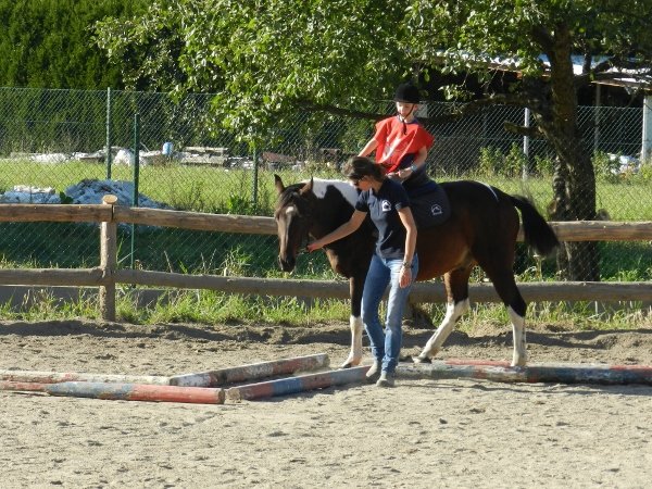 Babie Lato 2015
